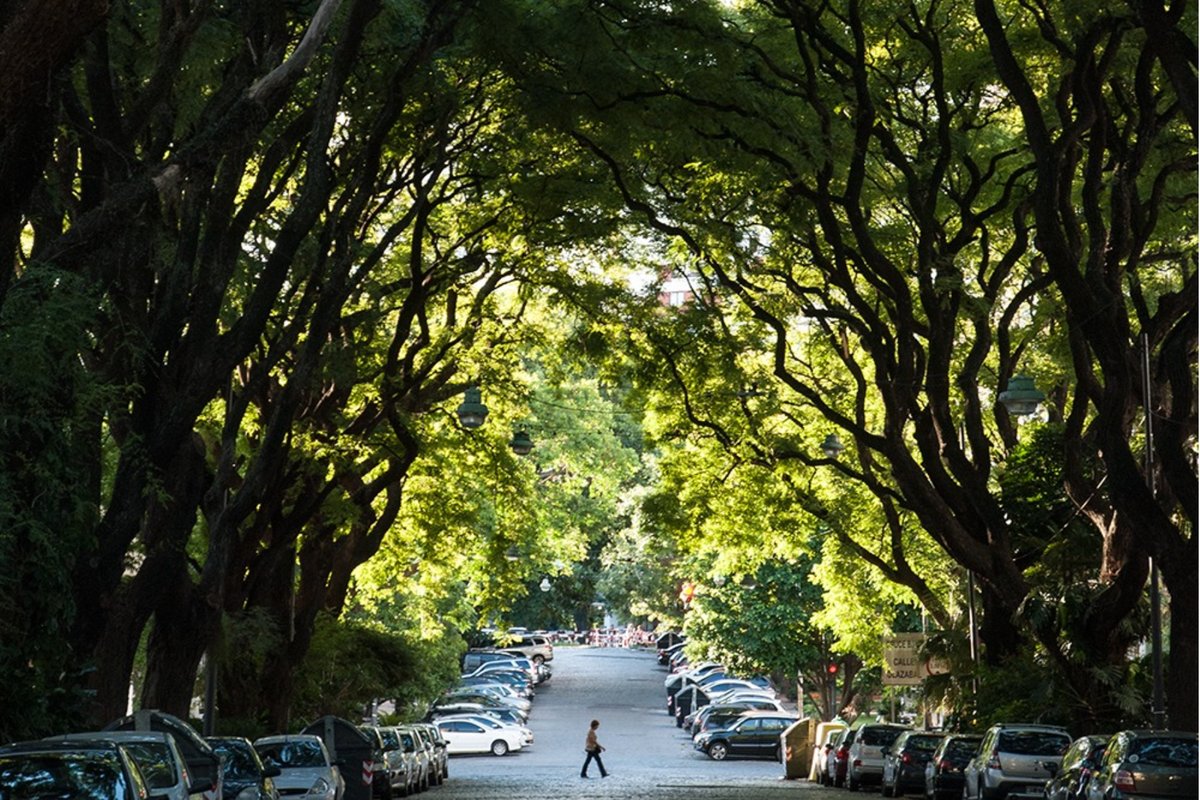 Belgrano